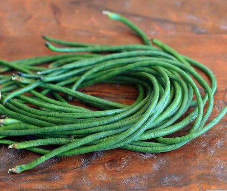 90 Count Vegetable Seeds Dark Green Yard Long Bean Seeds