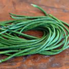 90 Count Vegetable Seeds Dark Green Yard Long Bean Seeds