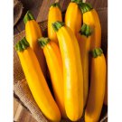 20 Count Vegetable Seeds 5 Species Summer Squash Mix Seeds | Best Heirloom Varieties Squashes
