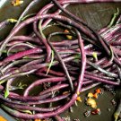Purple Red String Green Asparagus Beans 90 Count Vegetable Seeds