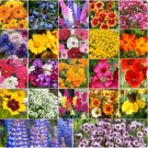 Birds, Bees, Butterflies Pollinator Mix Flower Seeds 250 Count Flower Seeds