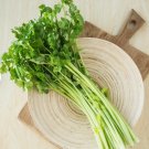900 Count Vegetable Seeds Chinese Celery Seeds (Leafy Celery)