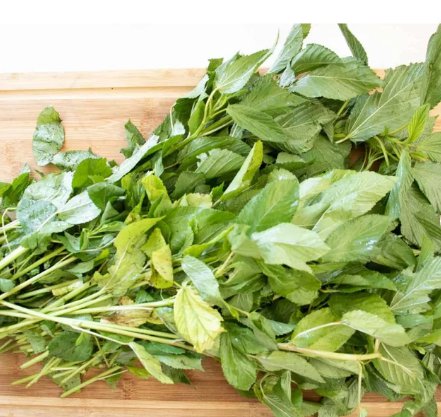 1500 Count Vegetable Molokhia Seeds (Egyptian Spinach) Seeds