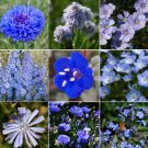 750 Count 9 Species Mix Blue Wildflower Seeds Blue Eyes Larkspur Bachelor