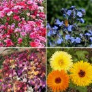 750 Count Birds, Bees, Butterflies - Pollinator Mix Flower Seeds