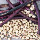 50 Count Vegetable Mississippi Pinkeye II Purplehull Southern Cowpea Seeds