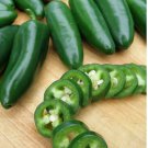 300 Count Vegetable Jalapeno M Pepper Seeds Scoville Medium Hot Dark Green