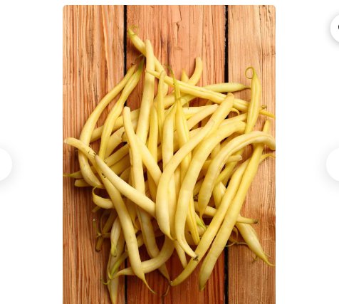 30 Count Vegetable Kentucky Wonder Yellow Wax Bean Seeds (Pole)