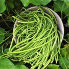 30 Count Vegetable White Yard Long Bean Seeds Green Yellow Chinese Asparagus