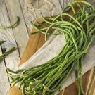 90 Count Vegetable White Yard Long Bean Seeds Green Yellow Chinese Asparagus