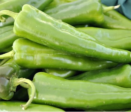 300 Count Vegetable Anaheim Chile Pepper Seeds Ancho Poblano Rillenos