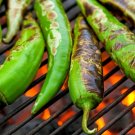 600 Count Vegetable Anaheim Chile Pepper Seeds Ancho Poblano Rillenos