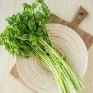 900 Count Vegetable Chinese Celery Seeds (Leafy Celery) Apium Graveolens