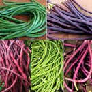 90 Count Vegetable Bean Seeds Purple, Green, Red, Pink, White Blend