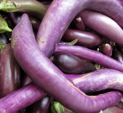 80 Seeds Plant Vegetable Long Purple Eggplant
