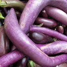 80 Seeds Plant Vegetable Long Purple Eggplant