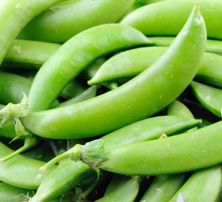 60 Seeds Sugar Snap Pea Vegetable For Garden
