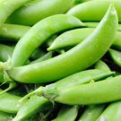 60 Seeds Sugar Snap Pea Vegetable For Garden