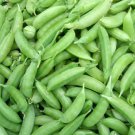 Snap Pea Vegetable  120 Seeds Sugar For Garden