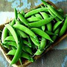 For Garden Vegetable Snap Pea 960 Seeds Sugar