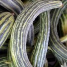 For Garden Vegetable Painted Serpent, Armenian Striped Cucumber 30 Seeds