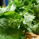 300 Seeds Broccoli Raab Rapini Vegetable For Garden