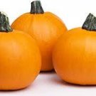 Vegetable 40 Seeds Small Sugar Pie Pumpkin For Garden