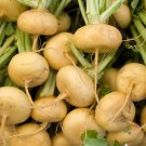 300 Seeds Golden Ball Turnip Vegetable For Garden