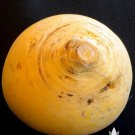 Golden Ball Turnip Vegetable 1200 Seeds For Garden
