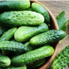 Vegetable 30 Seeds Homemade Pickles Cucumber Seeds For Garden