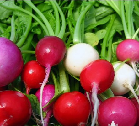 Radish For Garden Vegetable 1000 Seeds Easter Egg
