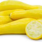 Vegetable Yellow Squash, Straightneck Early Prolific Zucchini 20 Seeds For Garden