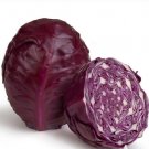 Cabbage 600 Seeds Vegetable Red Acre For Garden