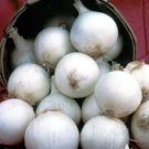 Onion Heirloom Seeds Vegetable White Sweet Spanish 300 Seeds For Garden