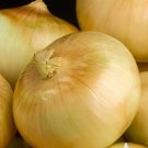 Yellow Sweet Spanish Onion 150 Seeds Vegetable For Garden
