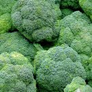 Heirloom Seeds For Garden Waltham 29 Broccoli Vegetable 1200 Seeds