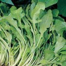 Seeds Vegetable For Garden 1600 Seeds Arugula, Heirloom Roquette