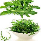 Seeds Vegetable For Garden 3200 Seeds Arugula, Heirloom Roquette