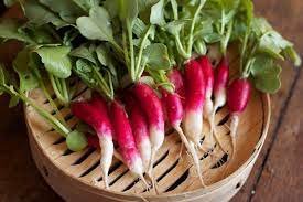 Vegetable French For Garden Breakfast Radish Heirloom Seeds 2000 Seeds