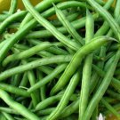 Jade Bush Bean Heirloom Seeds 50 Seeds Vegetable For Garden