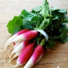 250 Seeds Vegetable French Breakfast Radish Heirloom Seeds For Garden