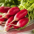 Radish Vegetable Heirloom Seeds 2000 Seeds Breakfast French For Garden