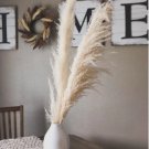 1 Stem Plant Pampas Grass Boho Wedding Dried Flowers For Garden