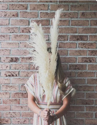 Pampas Grass Boho Wedding Dried 2 Stem Plant Flowers For Garden