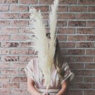 Pampas Grass Boho Wedding Dried 2 Stem Plant Flowers For Garden