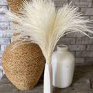 Wedding Dried 4 Stem Plant Pampas Grass Boho Flowers For Garden