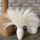 Flowers Wedding Dried 16 Stem Pampas Grass Boho Plant For Garden