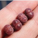 Living Stones 4 Plant Lithops Olivacea Red (0.25’’, small) Rare Succulents For Garden