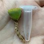 Lithops Rare Succulents Living Stones 800 Seeds & 16 Plants (0.5&acirc;��&acirc;��) Beginner Friendly For Garden