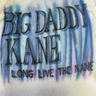 Custom 1988 Air Brush Big Daddy Kane T-Shirt Size XL Juice Crew Cold Chillin’